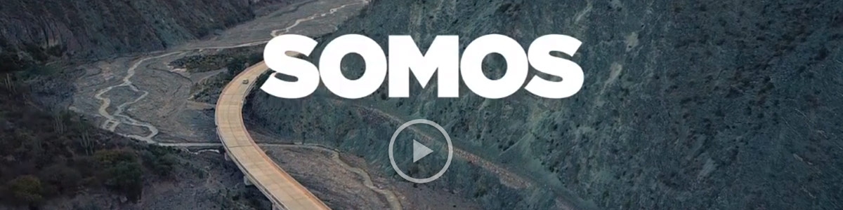 Ver video
